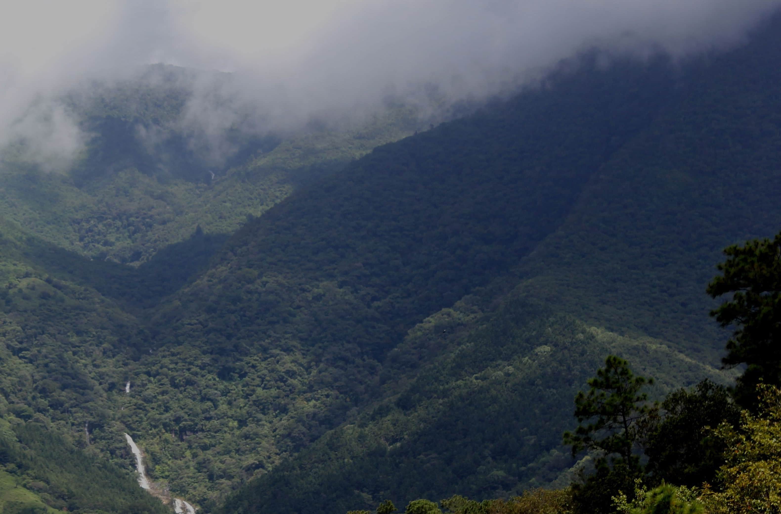 Fundadores de Firox y orígenes en El Salvador